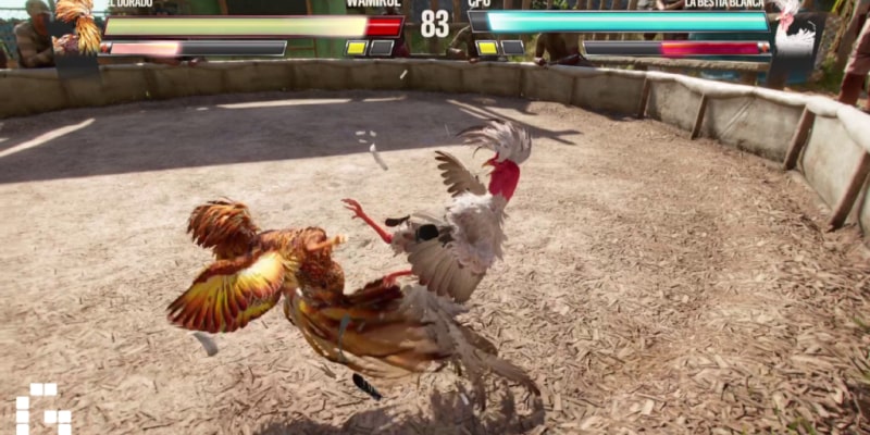 Why should you perform cockfighting game download?